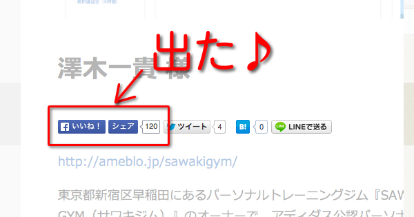 【wordpress】WP Social Bookmarking Light facebookいいね・シェアボタン対処方法